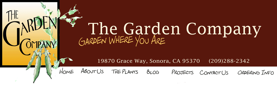 Garden Company Banner