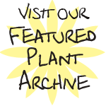 visit our plant of the month archive